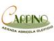 Azienda Agricola Carpino