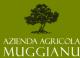 Azienda Agricola Muggianu Andrea
