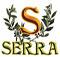 Olearia Serra